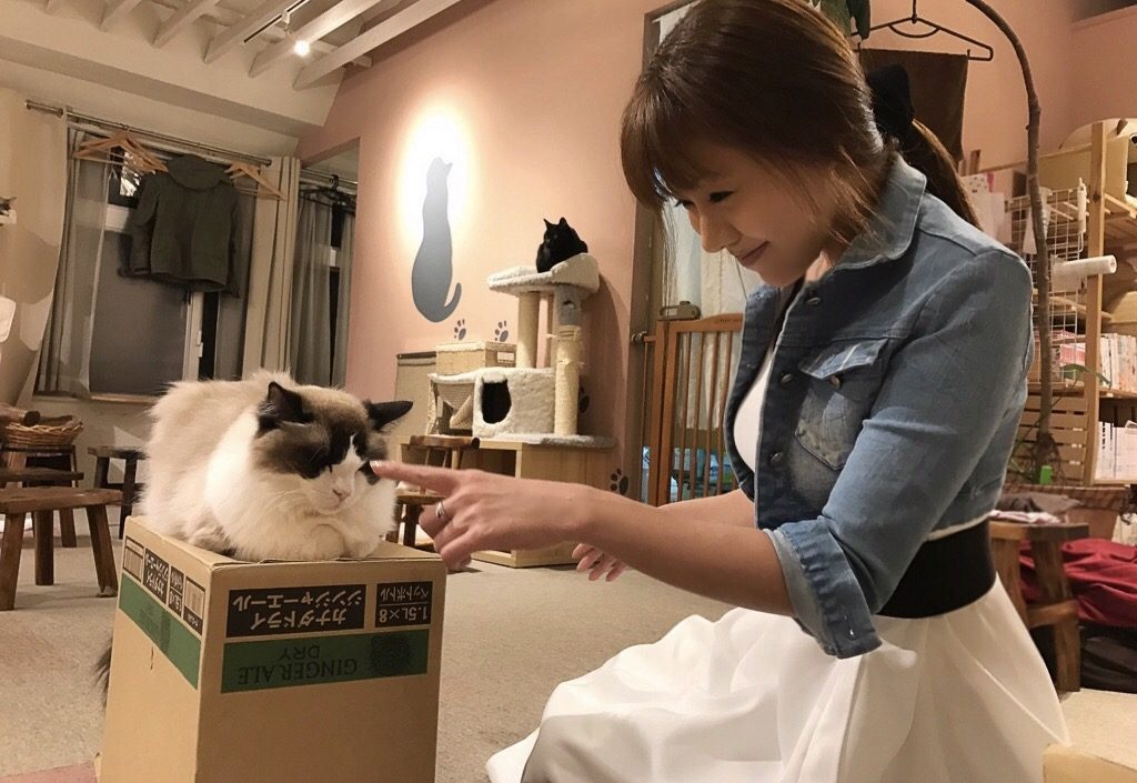 愚か者のススメ