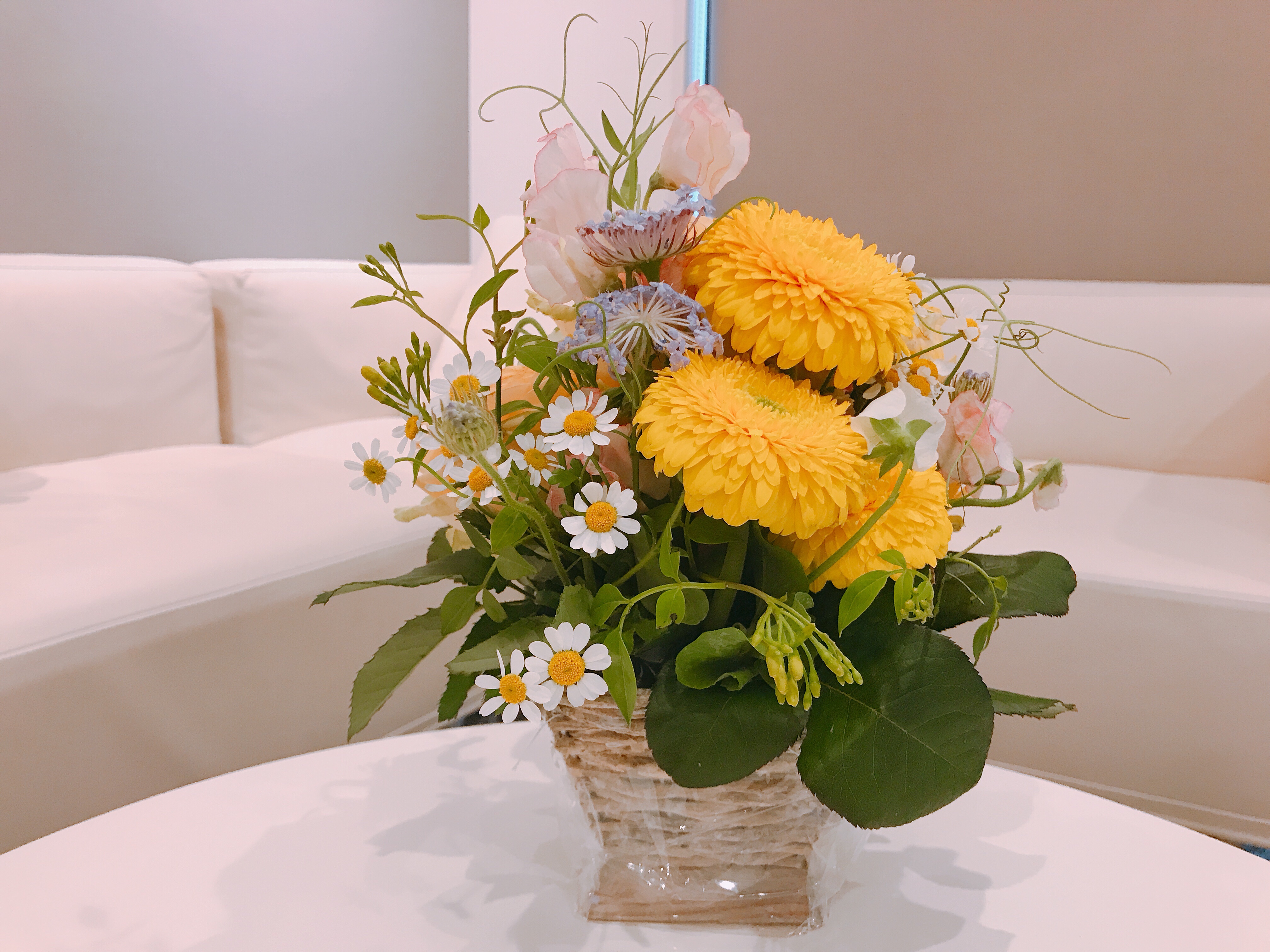 種をまき 花が咲く過程で大切なこと Yukohonda Official Website